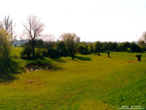 foto_14.jpg (164743 Byte)