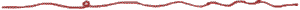 linie02.gif (1262 Byte)