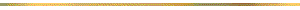 linie01.gif (477 Byte)