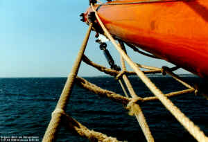 s99324.jpg (138624 Byte)