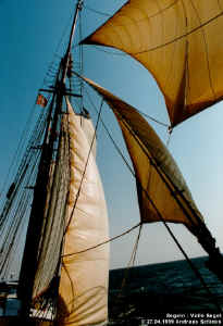 s99329.jpg (90069 Byte)