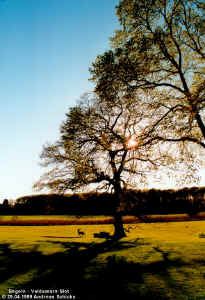 s9977.jpg (133106 Byte)