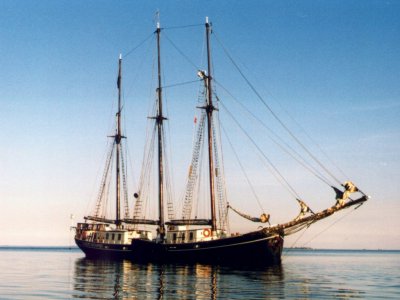 Albert Johannes  (119k)